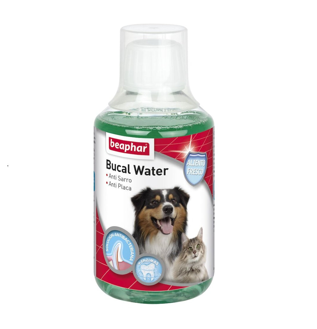 Enjuague Bucal Beaphar 250 mL Sabor Menta ( Con DHA Perros y Gatos)